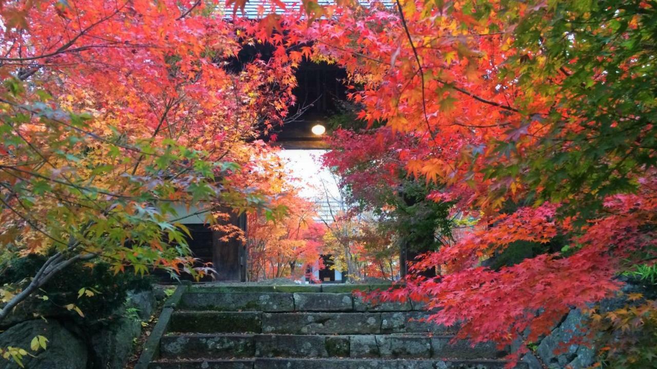 Blueberry Pension Madarao Iiyama Buitenkant foto