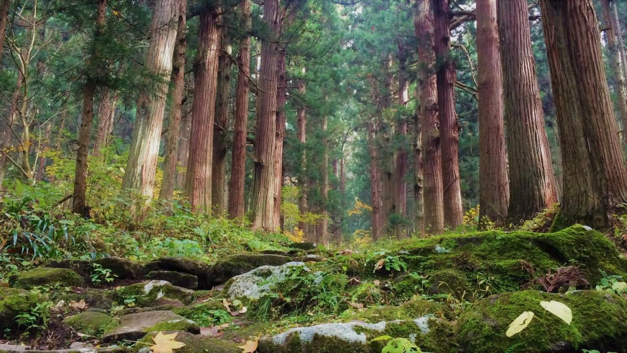 Blueberry Pension Madarao Iiyama Buitenkant foto